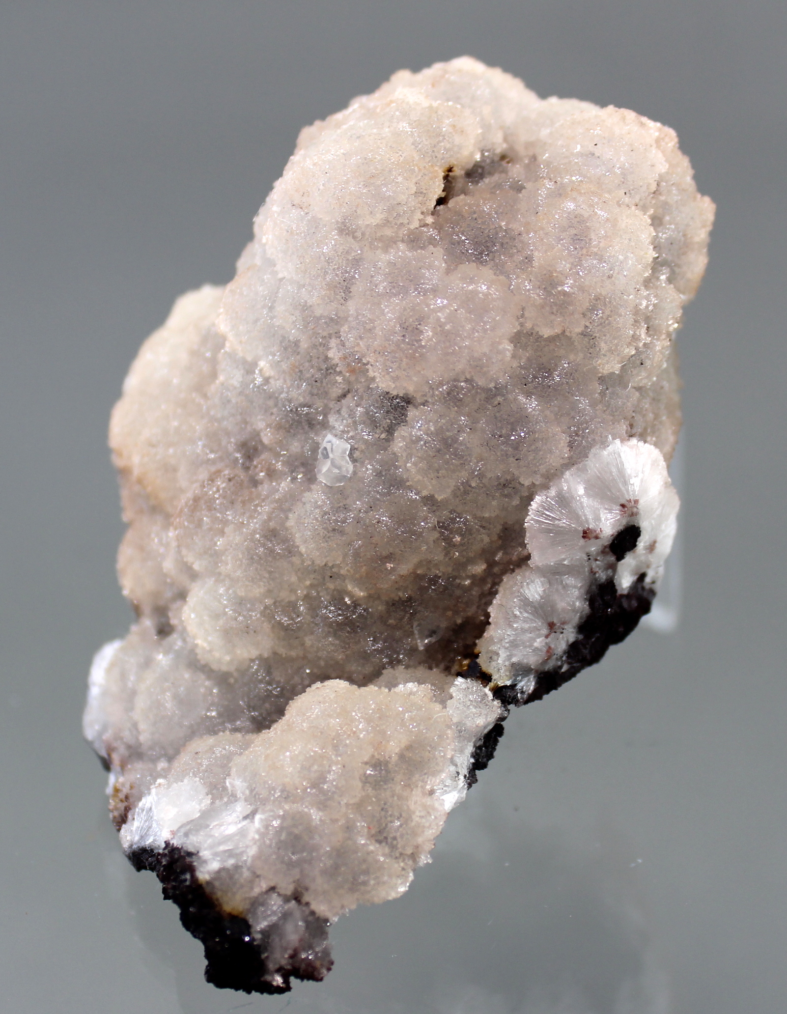 Stielgläser NEU  Aufschrift Coralba Aqua Minerale Ritzenhoff Cristal 1152 Stck 
