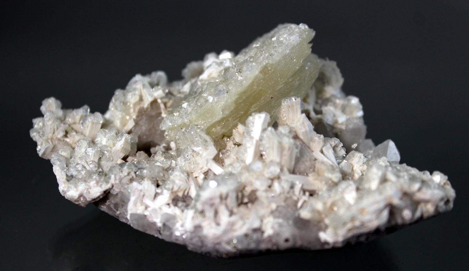 calcitelaumentitechina