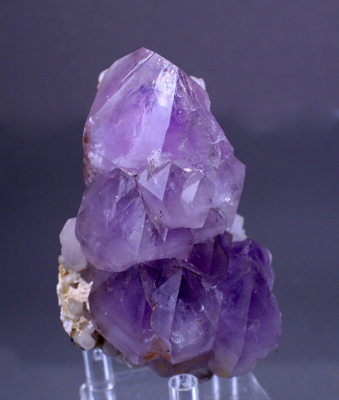 amethystdeerhill2.jpg