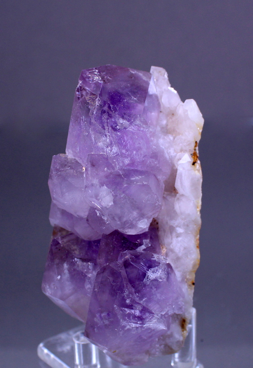 amethystdeerhill3.jpg