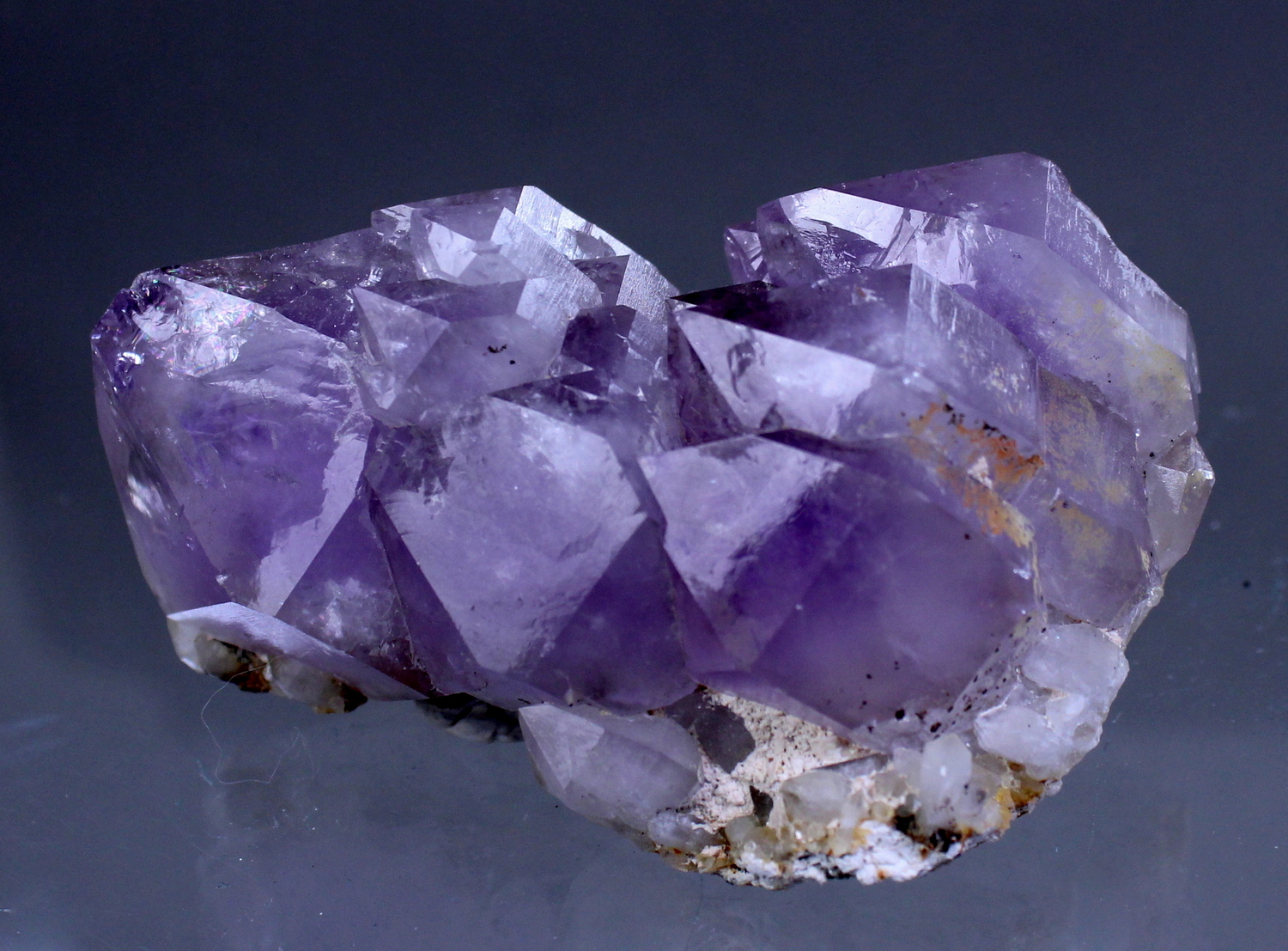 amethystdeerhill4.jpg