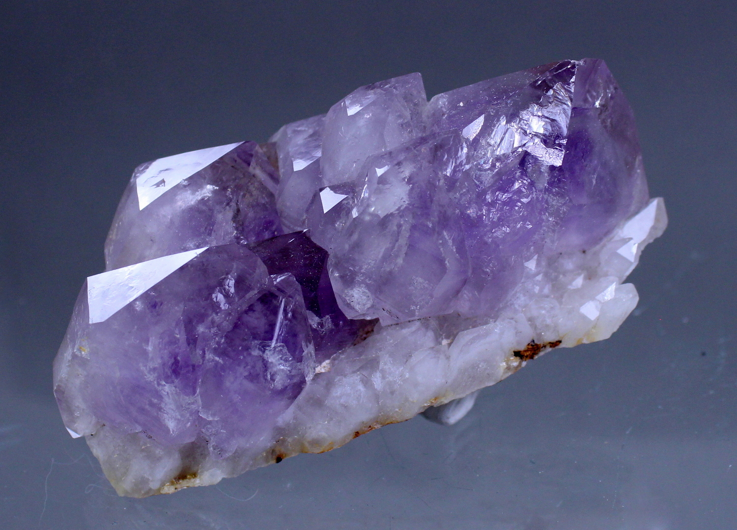 amethystdeerhill5.jpg
