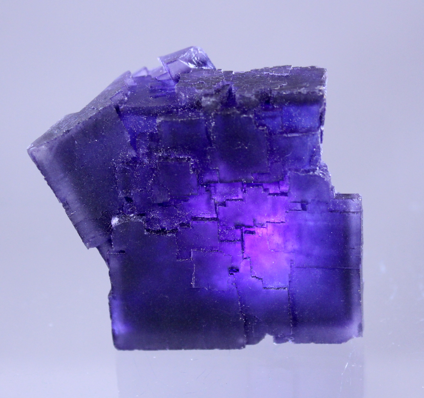 fluoritedenton.jpg