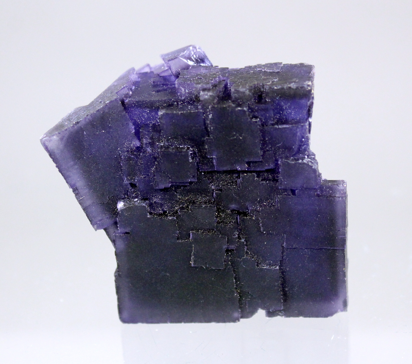 fluoritedenton2.jpg