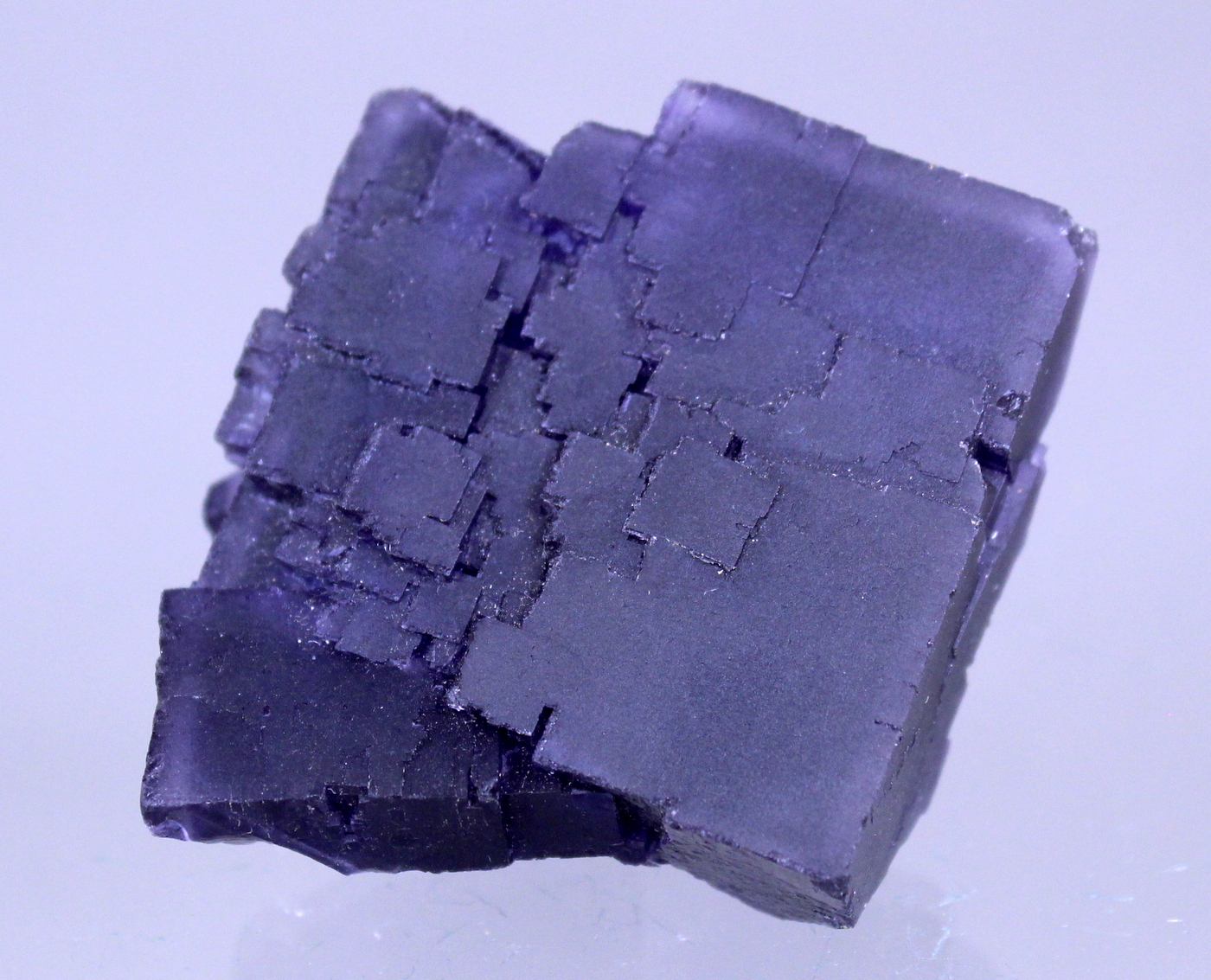 fluoritedenton3.jpg