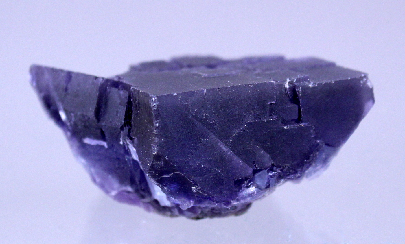 fluoritedenton4.jpg