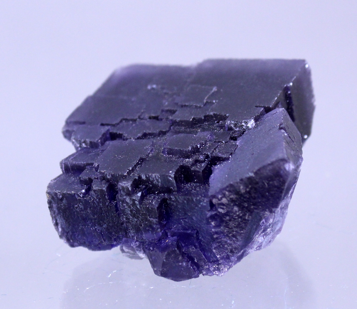 fluoritedenton5.jpg