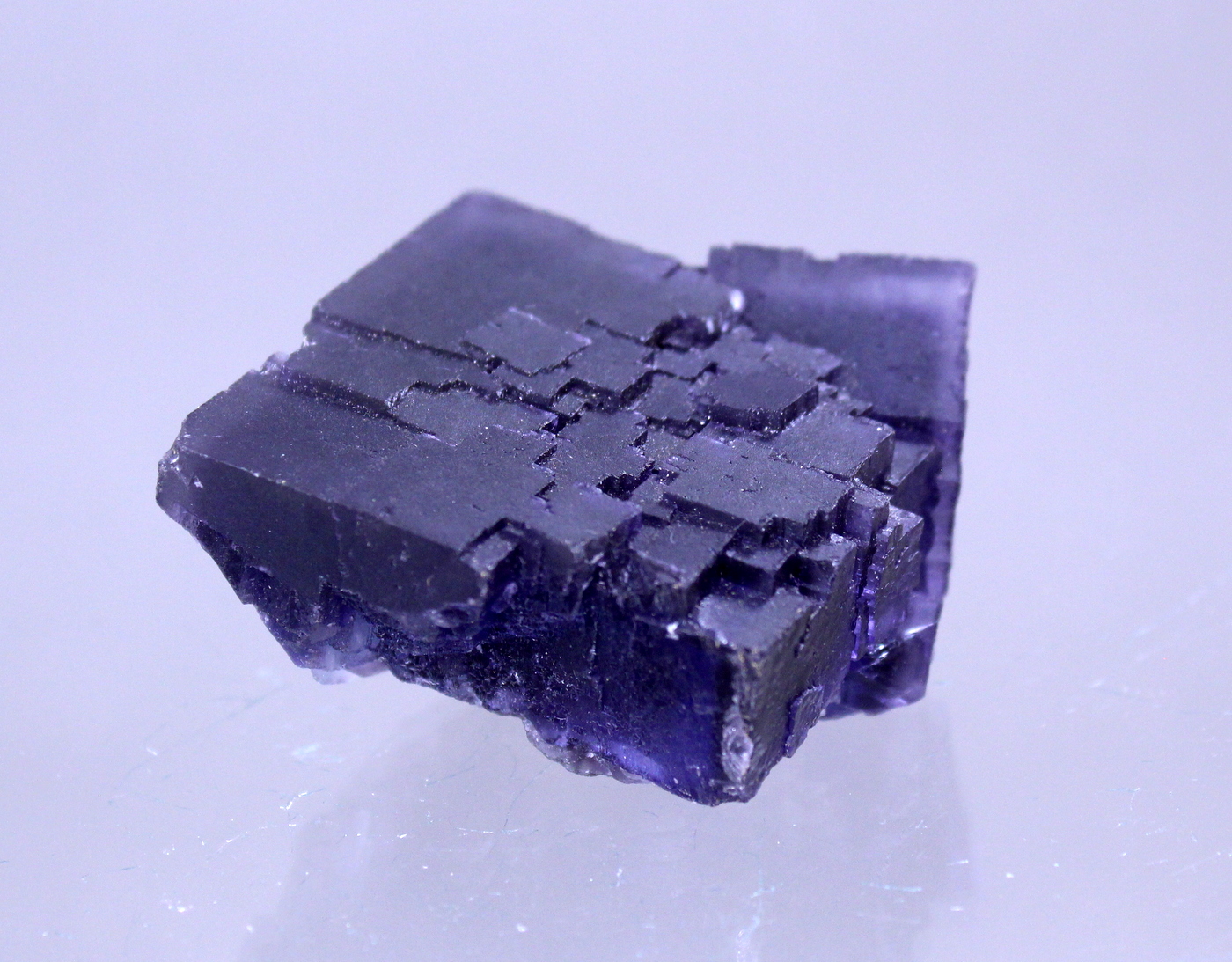 fluoritedenton6.jpg
