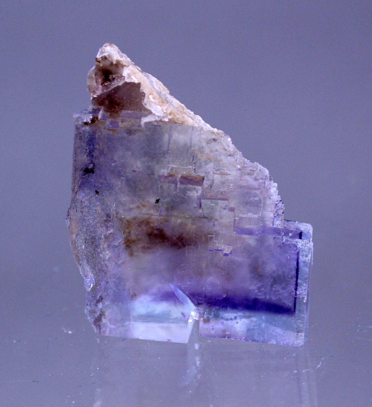 fluoriteminerva2.jpg
