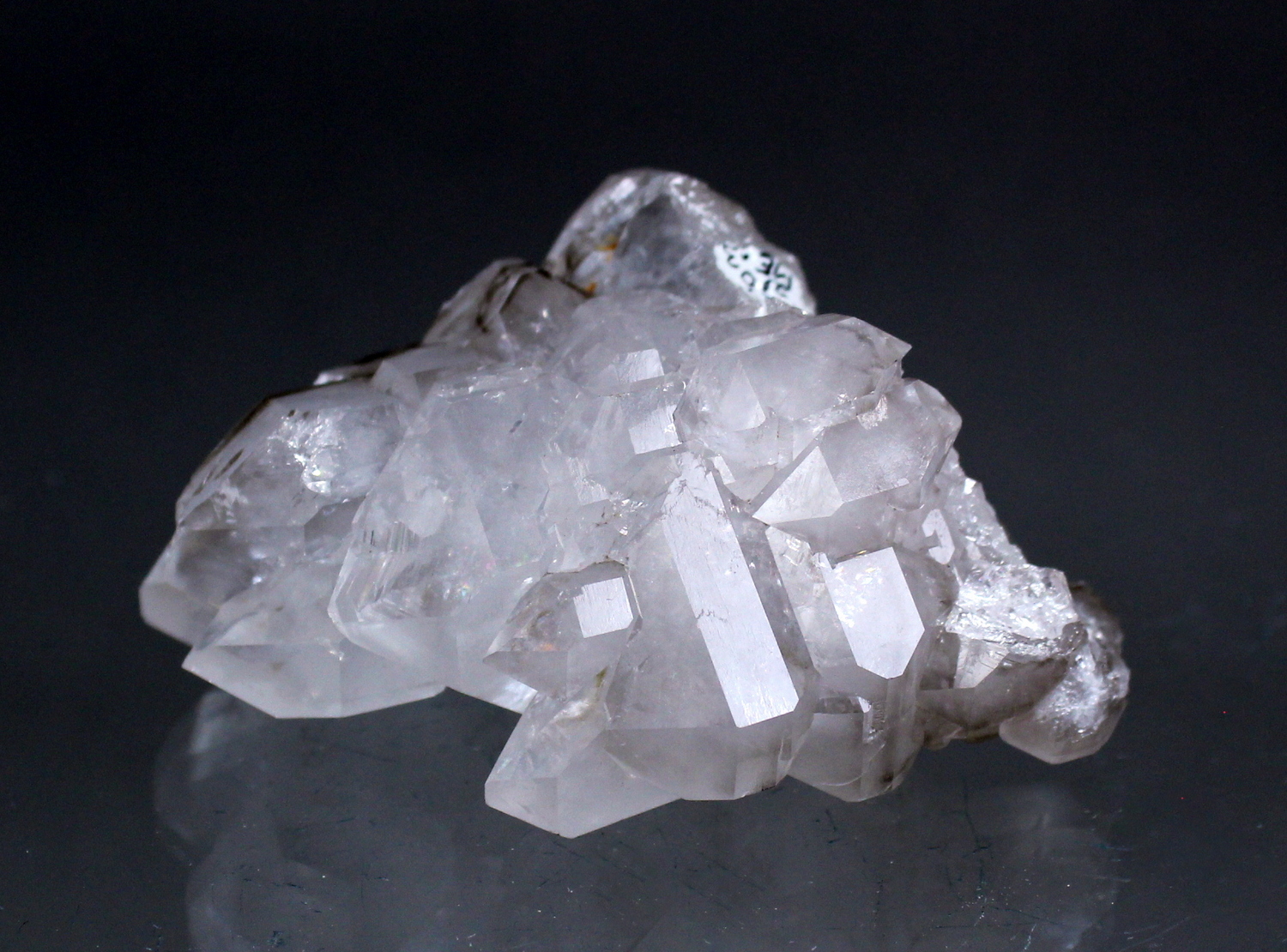 quartzmaine4