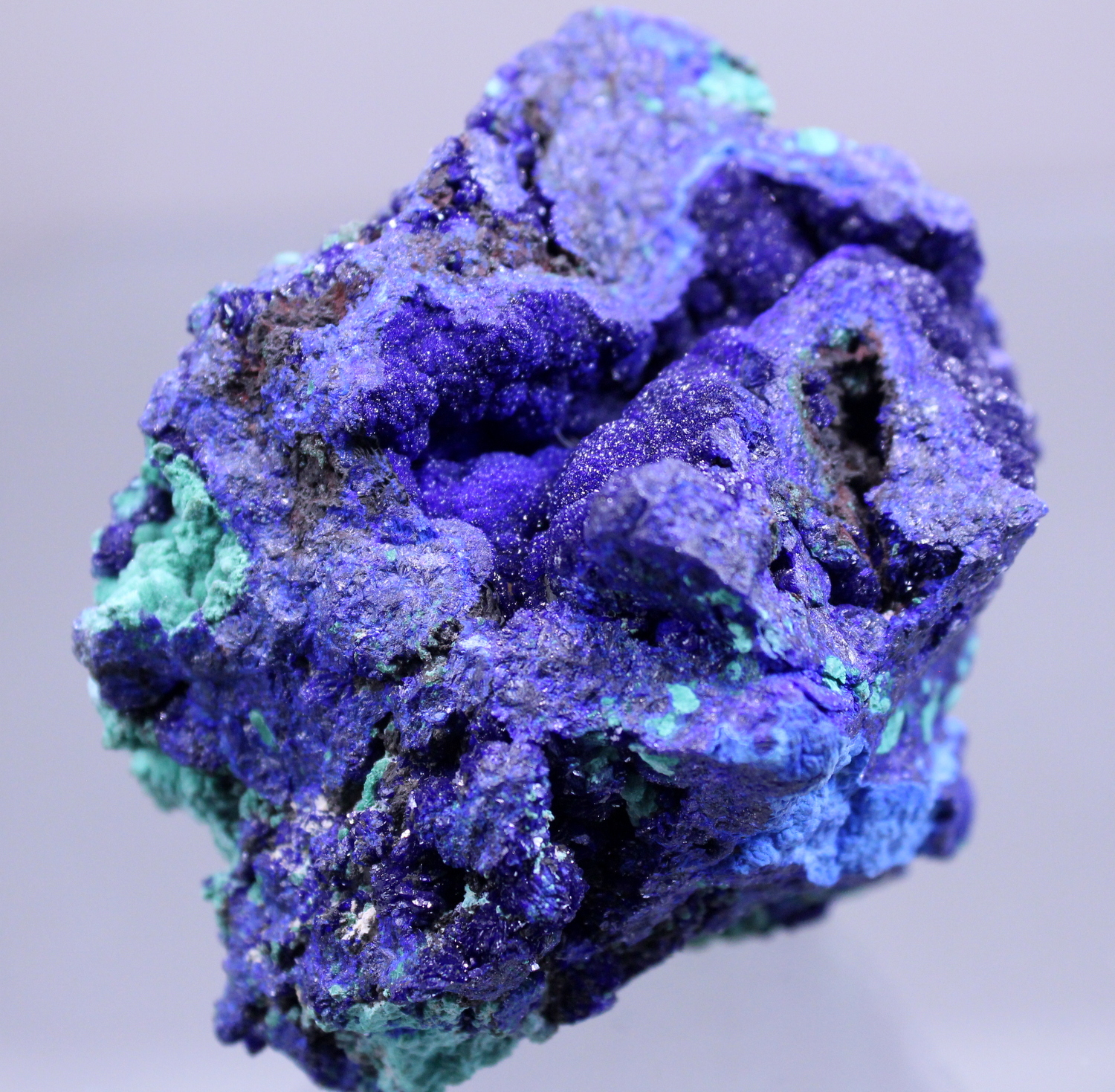 azuritebisbee4