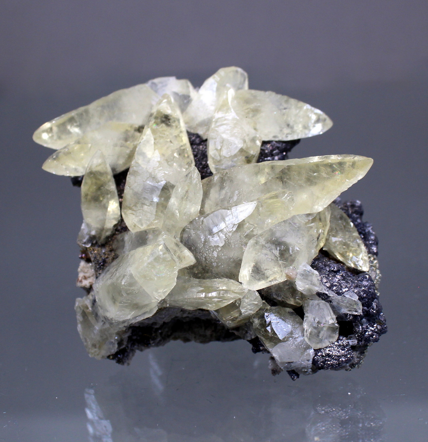 calcitemilliken2