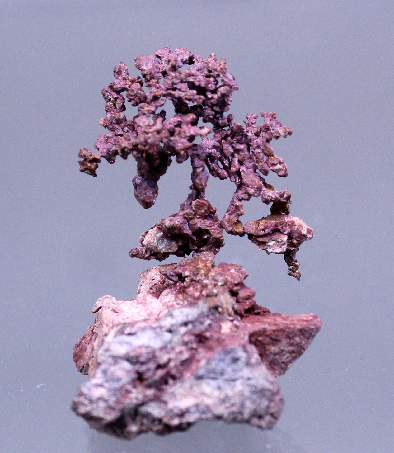 coppercupritemichigan