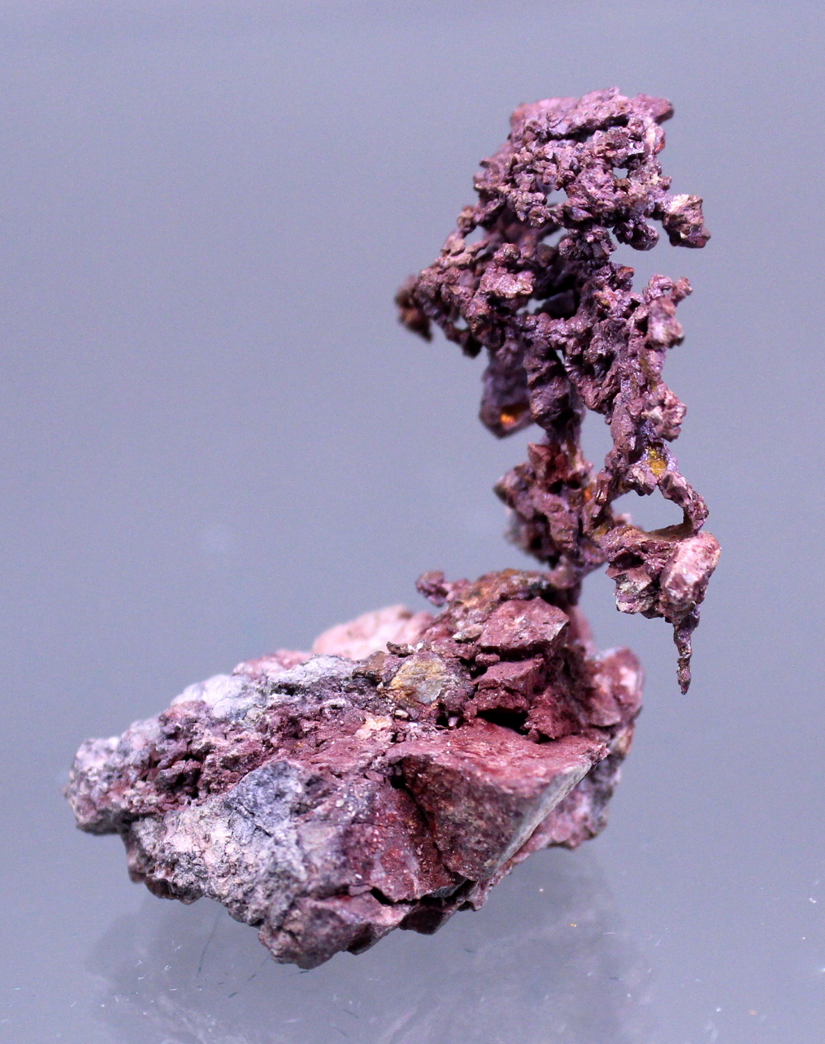 coppercupritemichigan2