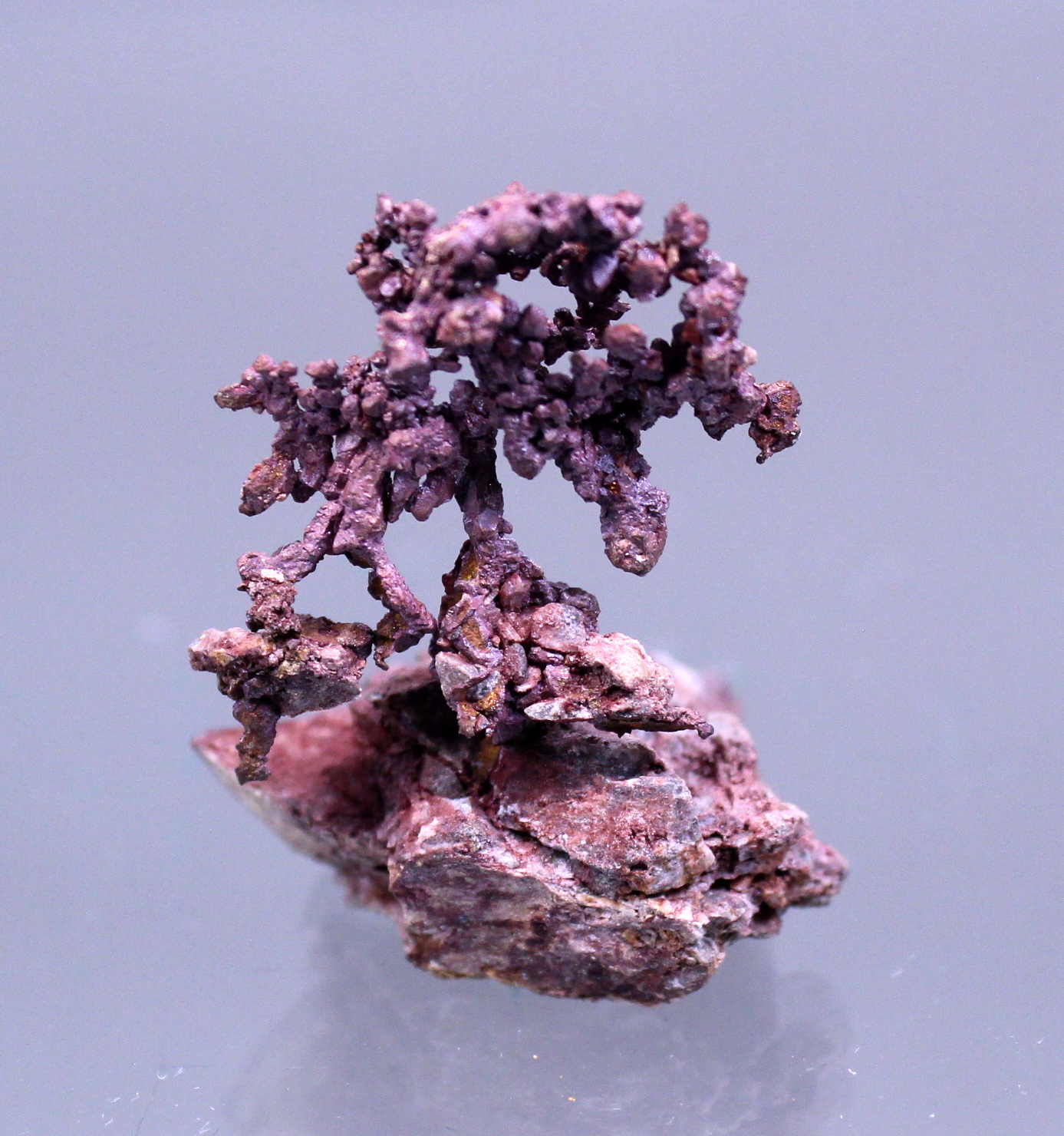 coppercupritemichigan4