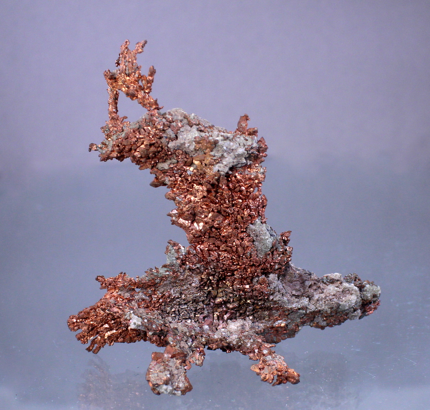 coppernewmexico