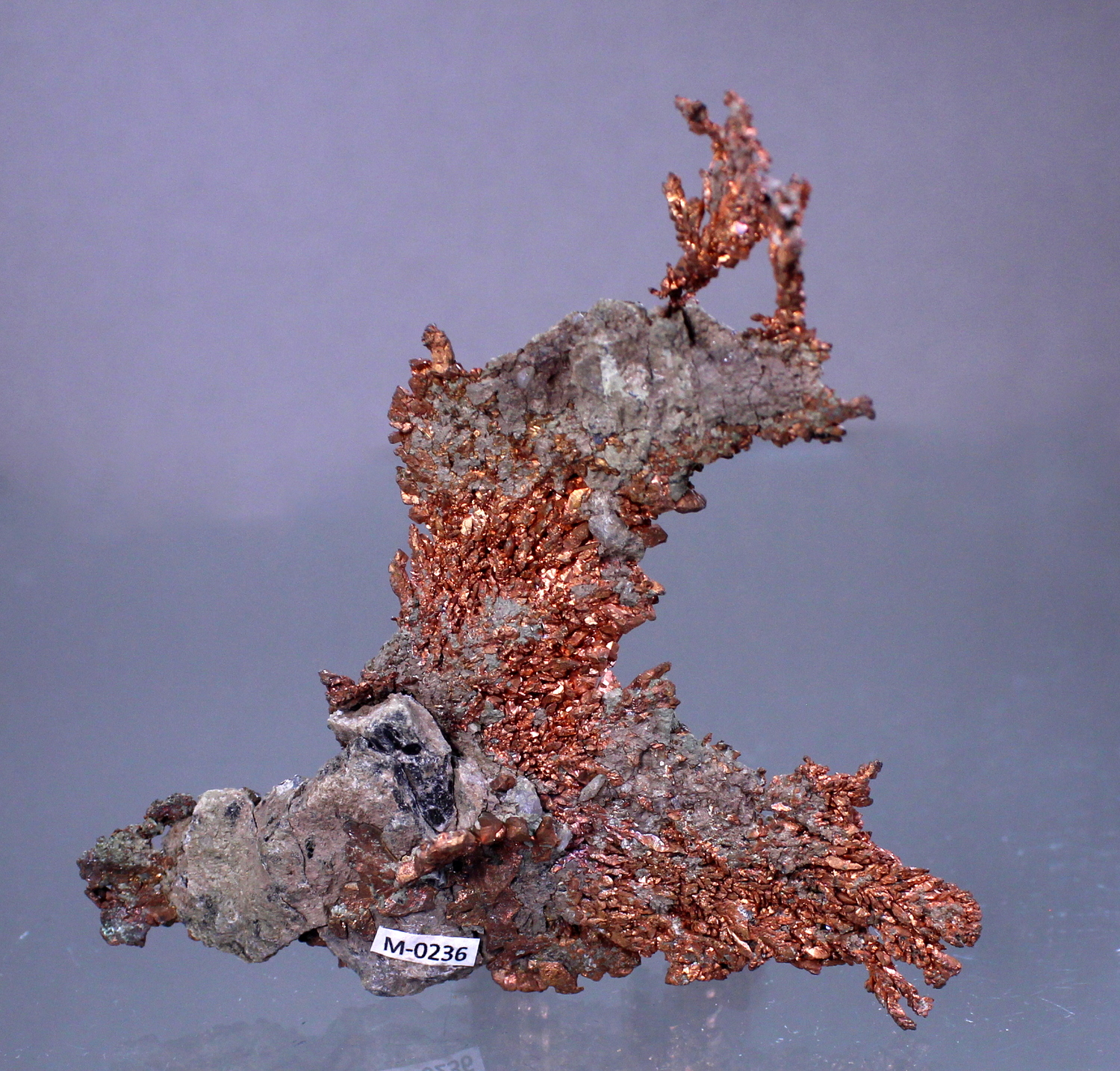 coppernewmexico2